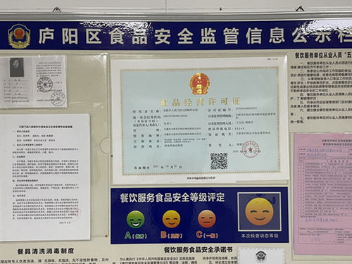 合肥市大西門幼兒園教育集團(tuán)暢和分園榮獲餐飲服務(wù)食品安全與網(wǎng)絡(luò)安全雙優(yōu)殊榮