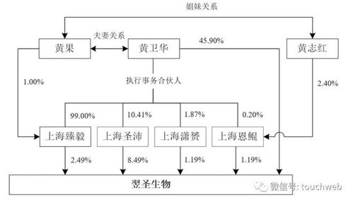 翌圣生物沖刺科創板 新冠業務占比近25%，募資11億加碼軟件開發與生命科技布局